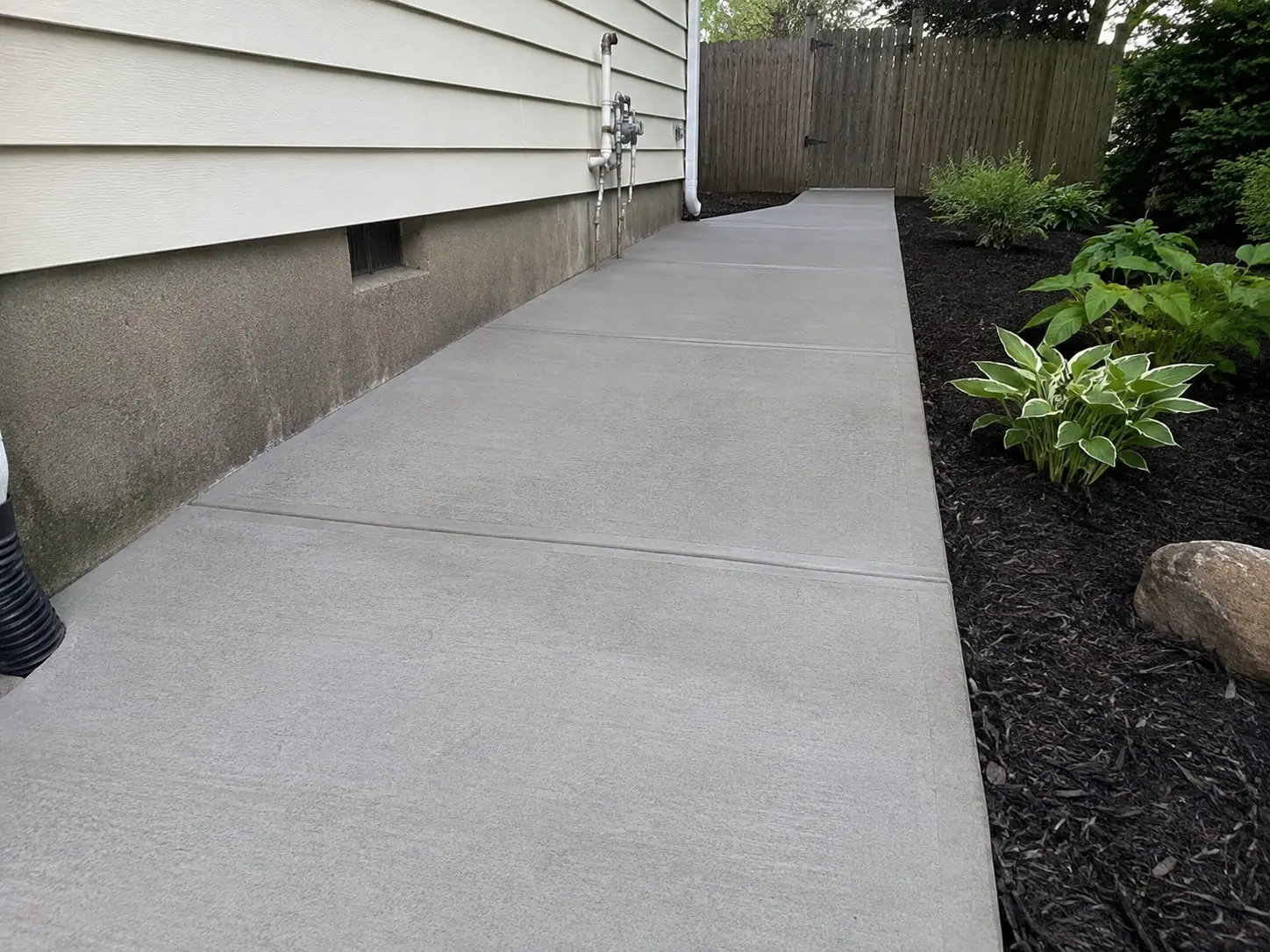 Concrete path running through an Auckland garden
