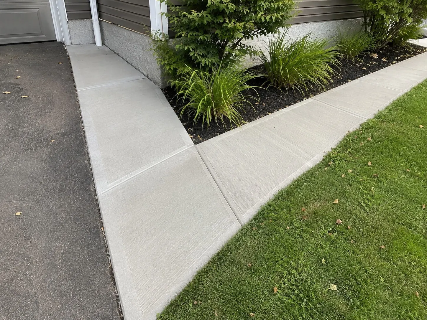 Concrete paths and paved areas on an Auckland property